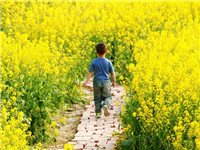 三月成都 你凭什么定义生活美学？