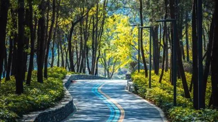 飞廊如红绸 湖光映山色 这样的永安湖你喜欢吗？