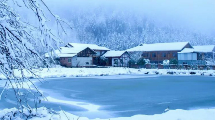 叮~彭州版“成语新解”新鲜出炉！雪海无涯、迎蓝而上......