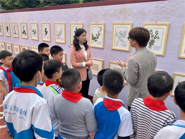 把中医药文化的种子播种到孩子们的心中