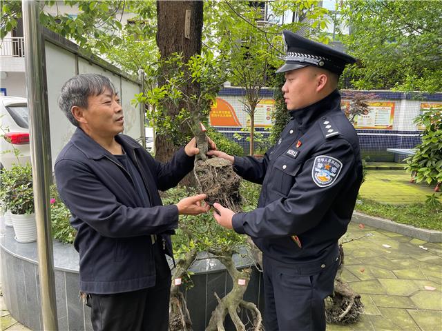 花木被盗 民警快速破案帮追回
