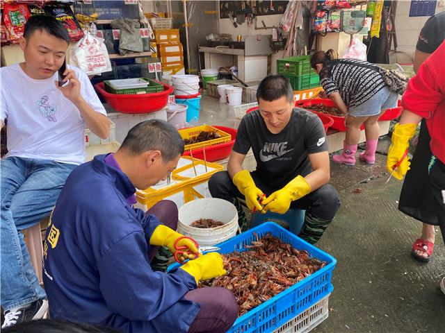 小龙虾大量上市 每斤价格下降至20元左右