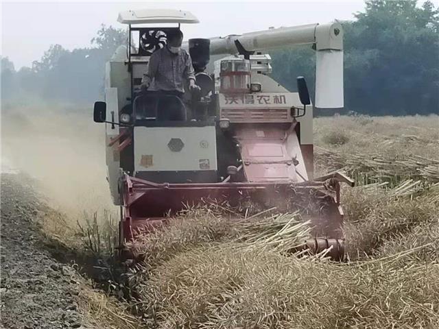 温江区多措并举  扎实做好秸秆禁烧工作