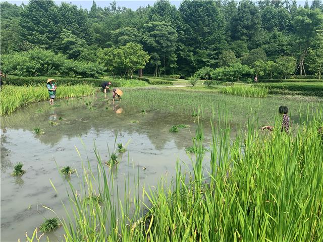 西南财经大学副校长尹庆双一行来温考察