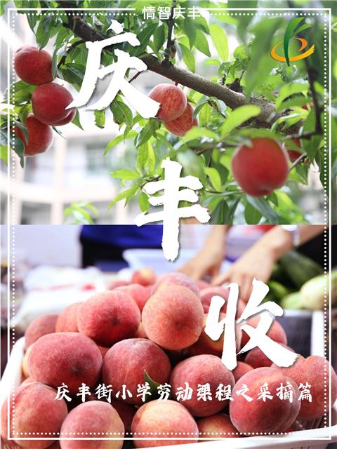 体验收获的乐趣！庆丰街小学校开展别样劳动课