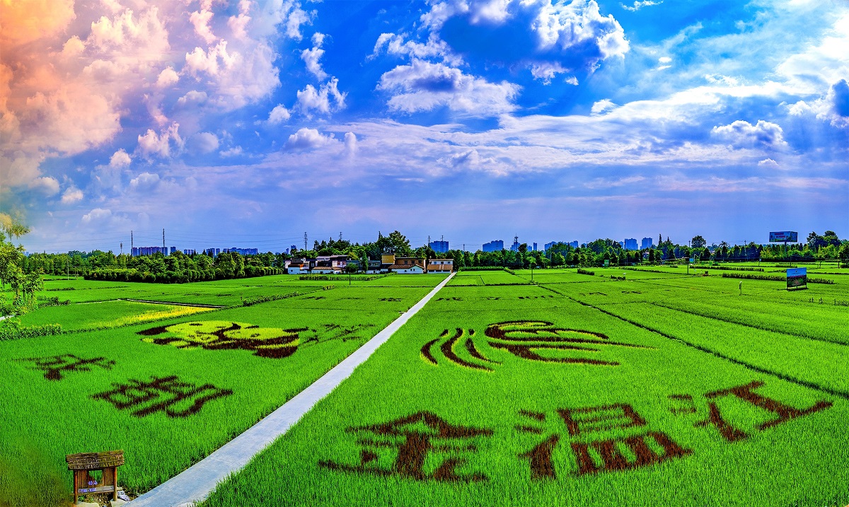 马烈红赴万春镇开展党史学习教育调查研究  督导指导“我为群众办实事”实践活动  作专题党课报告