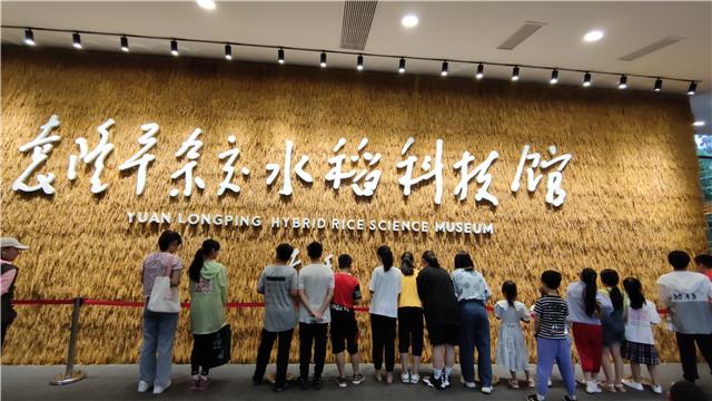 ​四川益路同行慈善服务中心开展“一粒种子”都市小农夫户外活动