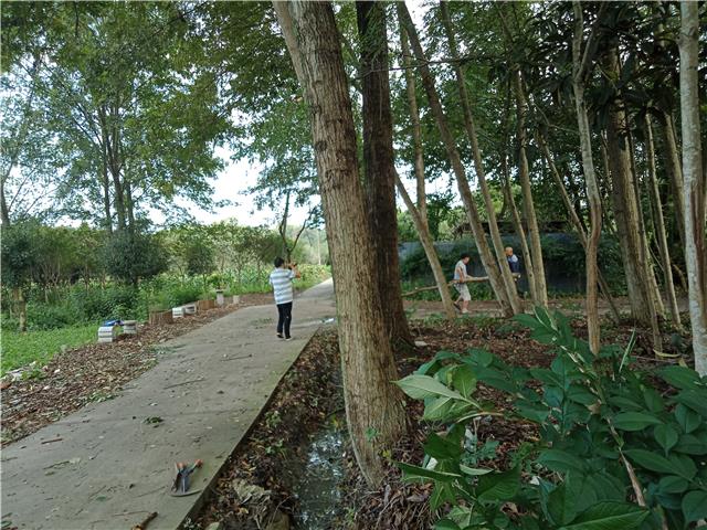 涌泉街道明光社区：精细化治理  散居院落焕新颜