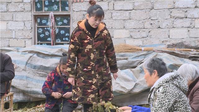 “温江新农人”——曾慧琼：她从一位家庭妇女到花木出口商