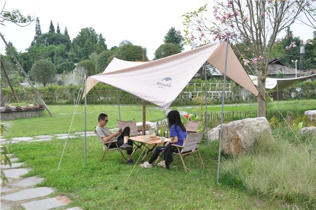 温江寿安岷江村：开拓微型盆景新天地
