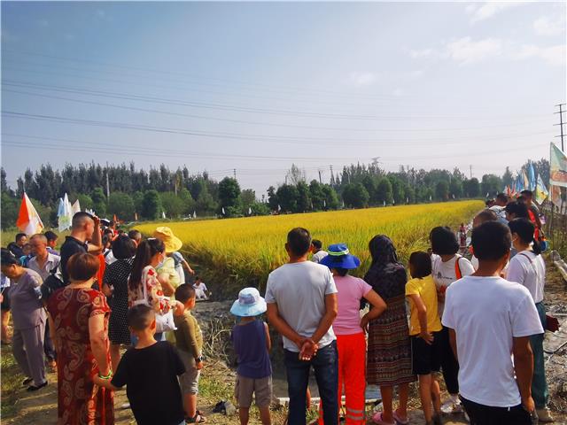 “稻穗飘香庆丰收 渔你童乐嗨翻天”幸福美好生活十大工程主题活动举行