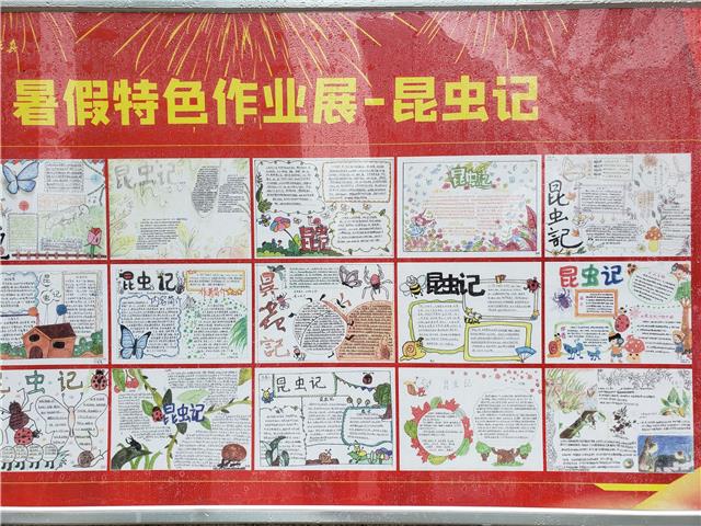 光华实验中学：巧用智慧，将作业完成得更好