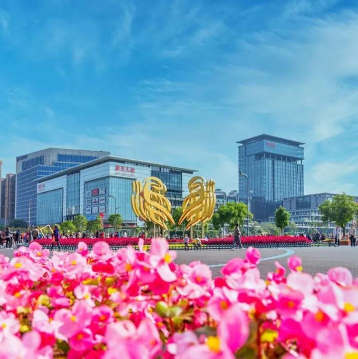 今天，区第十八届人民政府第107次常务会议召开，安排部署了这些工作