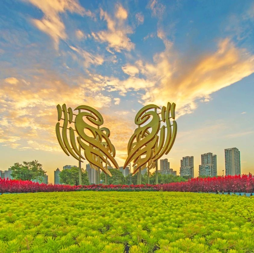 区政府常务会议和区长办公会议召开，安排部署了这些重点工作