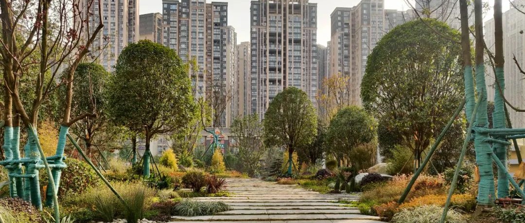 瞧瞧，这是哪里！