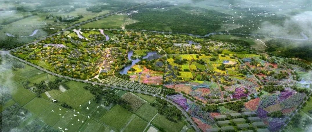 24.93亿元！开门红！红！红！