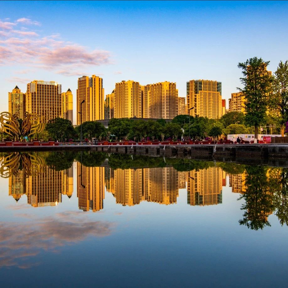 区政府常务会议和区长办公会议召开，安排部署了这些重点工作