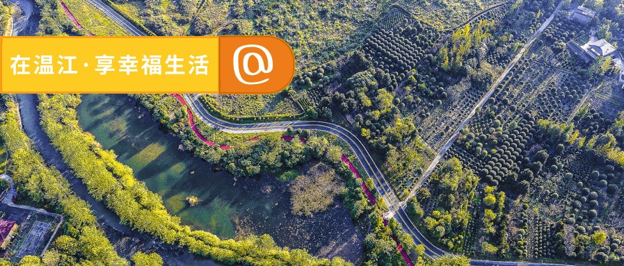 向“钱”“犇”！温江又被通报表扬