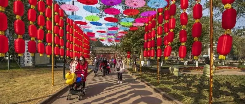 春节线路推荐！就地过年，在温江就能“嗨翻天”~