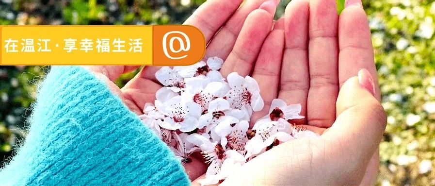 图说温江| 这些地方正在举行春天花花“同学会”！