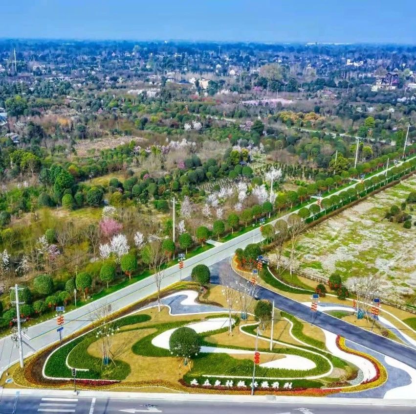 区政府常务会议和区长办公会议召开，安排部署了这些重点工作