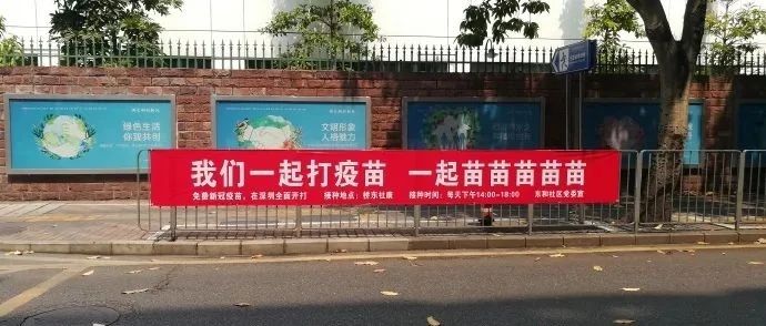 “苗苗苗苗苗”~这标语太“上头”了吧！