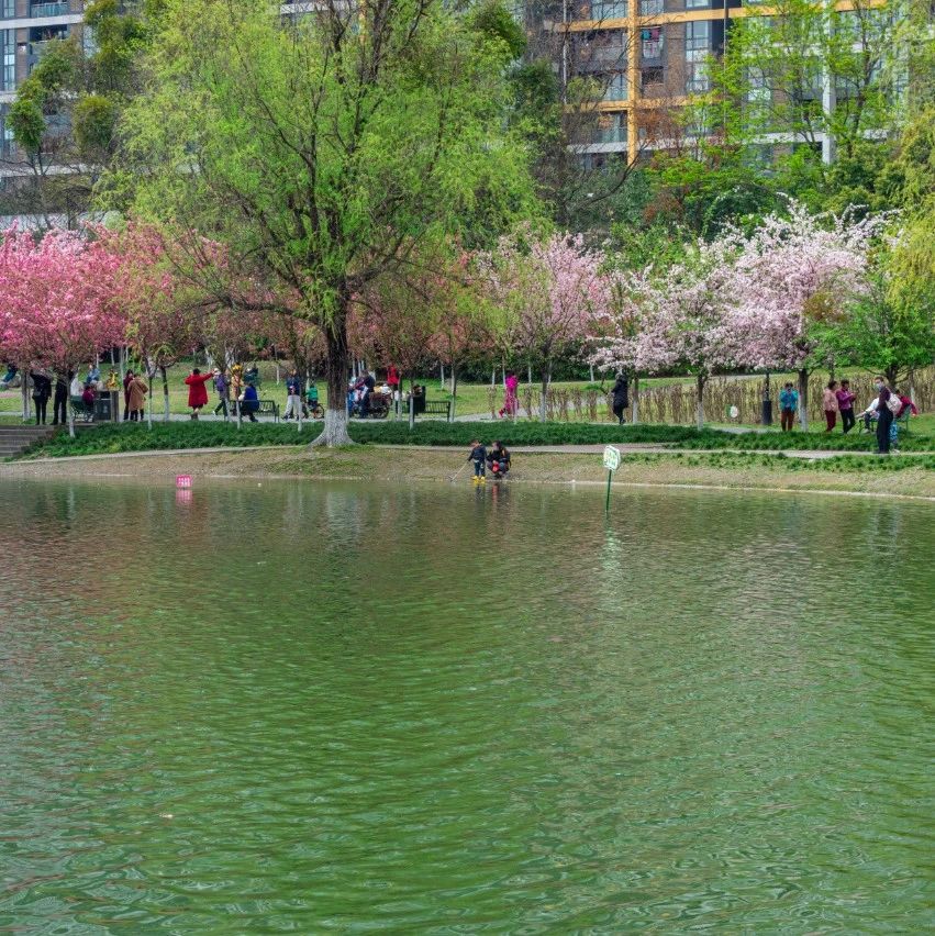 隐患险于明火，防范胜于救灾！全区城乡防火工作会召开