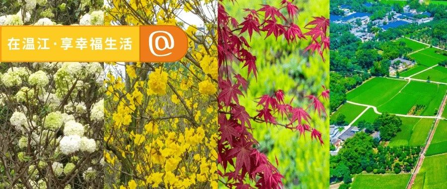 图说温江|今天又叫踏青节，GO!