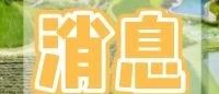 温江+电子科大，擦出火花！