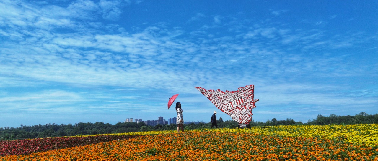 让新发展理念落地生根可感可及！成都市温江区幸福美好生活十大工程工作推进大会召开