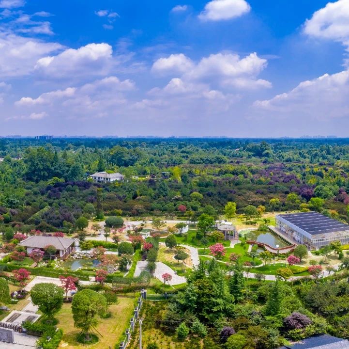 王道明主持召开区委常委会会议，传达学习习近平总书记近期重要讲话精神和成都市产业功能区及园区建设领导小组第八次会议精神