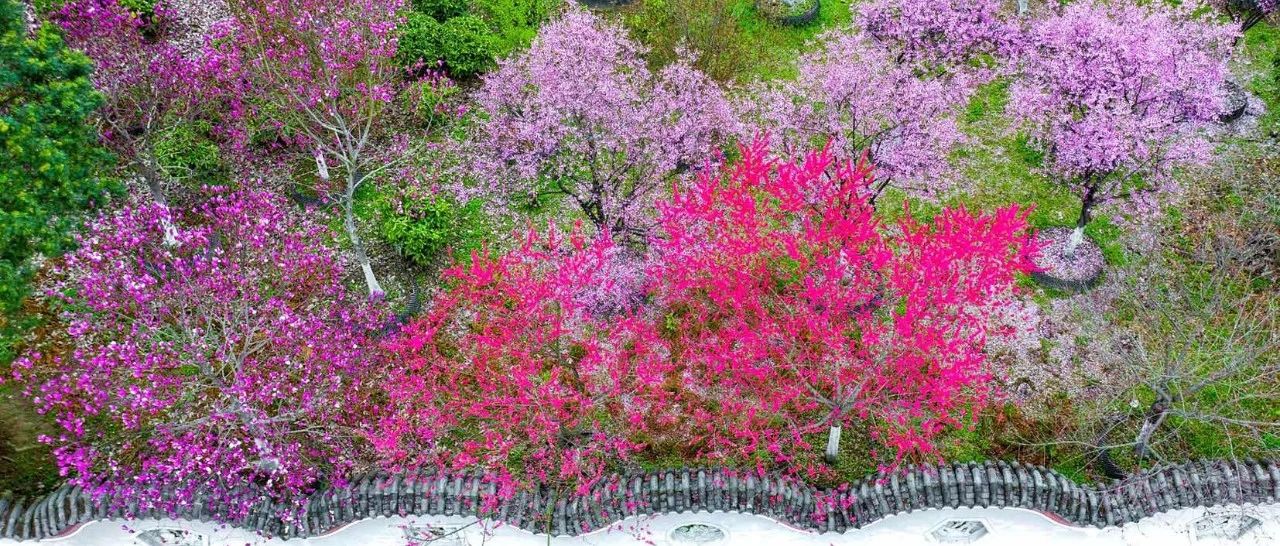 图说我身边的共产党员丨“消洒”哥