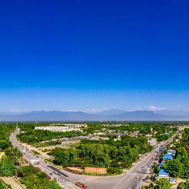 区长办公会议召开，安排部署了这些重点工作……