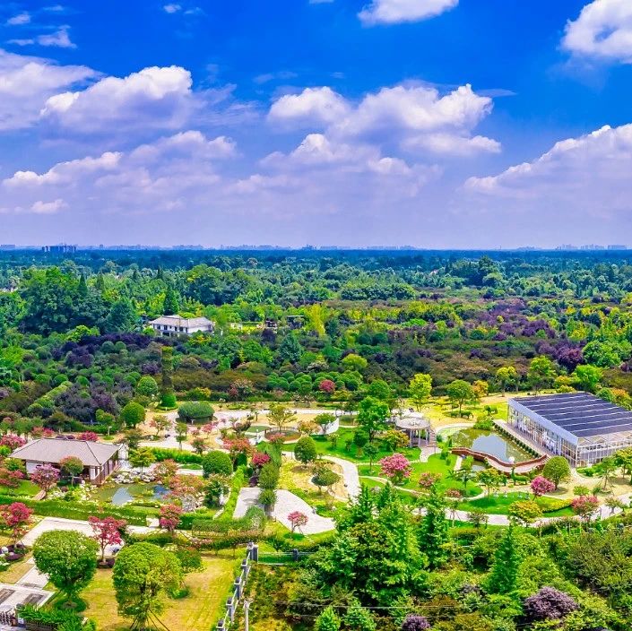 温江区大气、水、土壤污染防治“三大战役”领导小组2021年第二次（扩大）会议召开