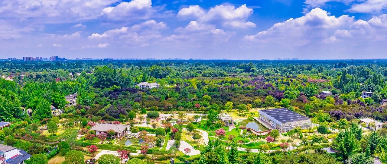 切实把教育整顿实效转化为激励干警担当作为的动力！成都市温江区政法队伍教育整顿领导小组第二次会议召开