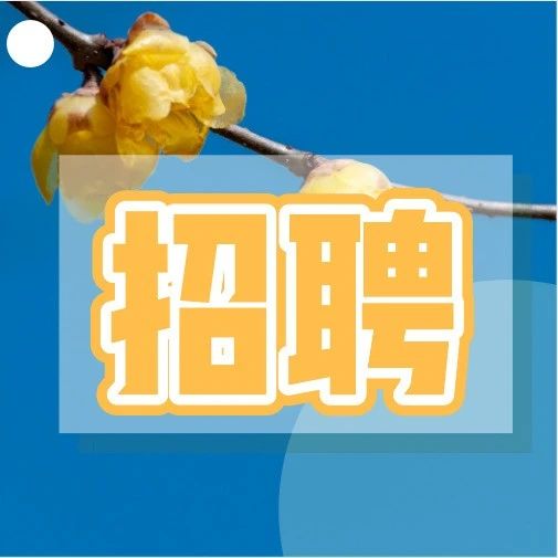 海量岗位！温江、巴南双城同招来了