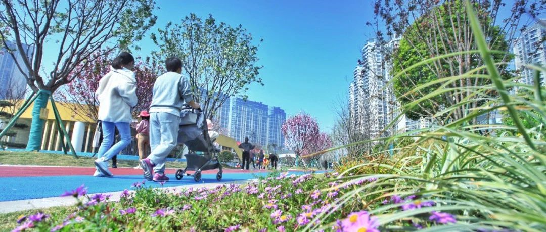 快来打call《春天的温江》创意视觉作品征集活动线上投票开启！