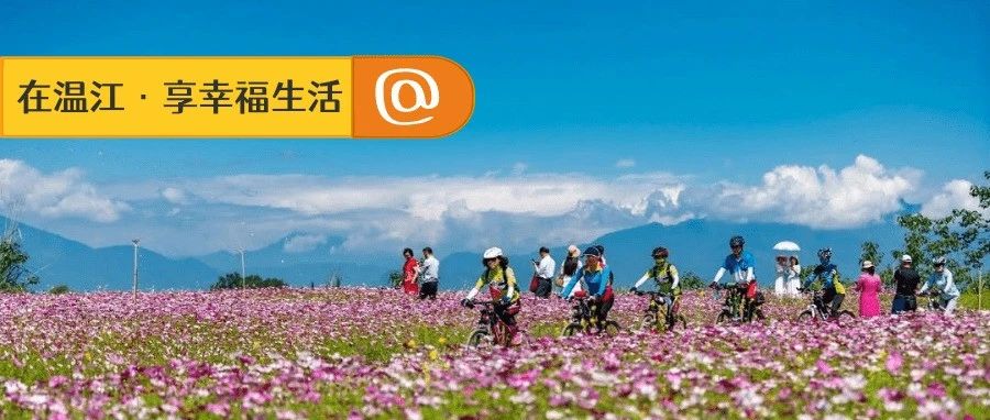 182项机会清单，为你的幸福而来！