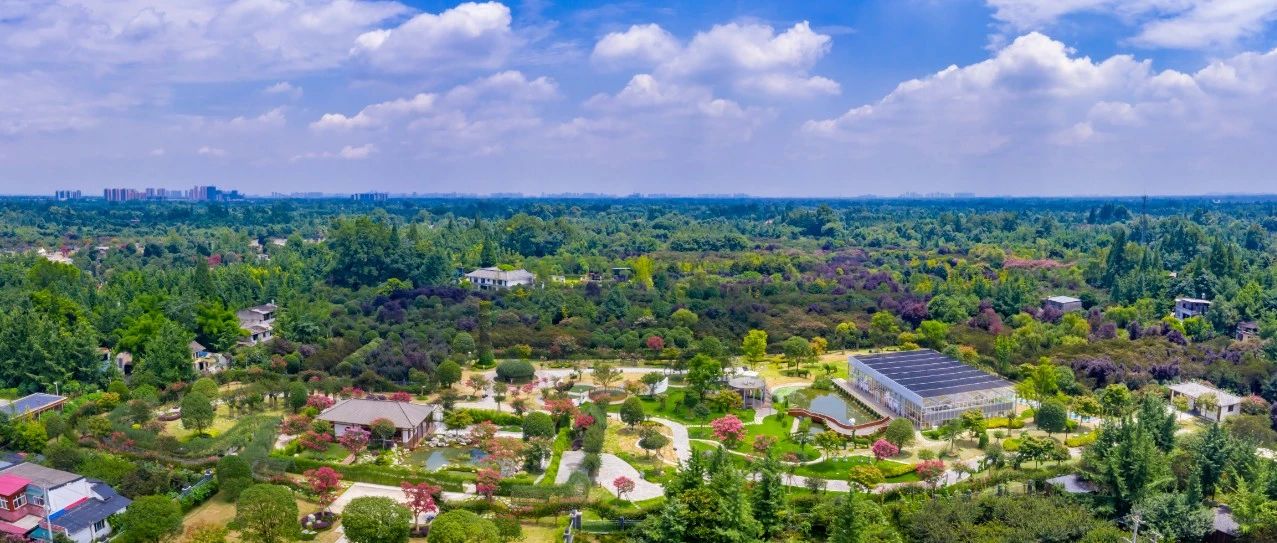 科学施策精准发力，抓实抓好问题整改！王道明率队调研督导省督转办件推进情况时强调