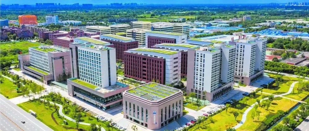 王道明调研督导成都医学城B区项目建设运营情况时强调：强化项目思维 始终以项目为中心组织经济工作