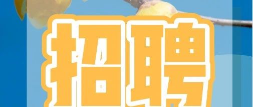 12个正式编制！温江招聘又来啦！