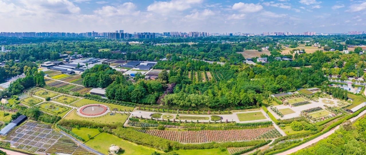 今天，区长办公会议安排部署了抓好环保督察迎检和问题整改等重点工作……