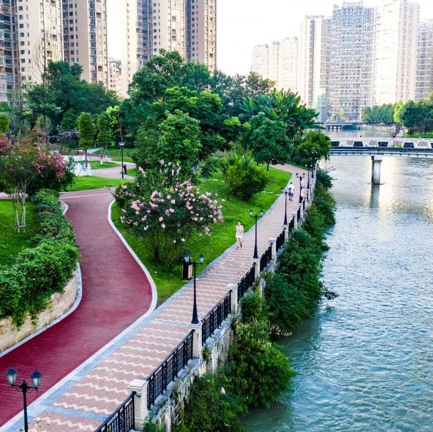 以活力创新路径寻找公园城市关键变量