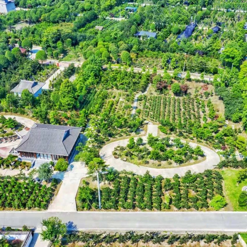 不断提升温江生态环境治理能力和治理水平，着力彰显宜业宜居宜游的公园城市特质！王道明对环保督察迎检和整改工作进行再安排再部署