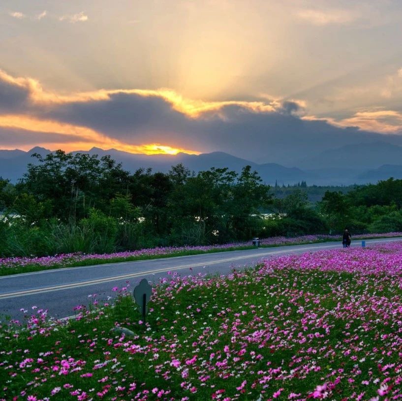 全区上下“一盘棋” 高标准高质量开展迎检工作！我区及时贯彻落实成都市迎接四川省生态环保督察工作专班调度电视电话会议精神