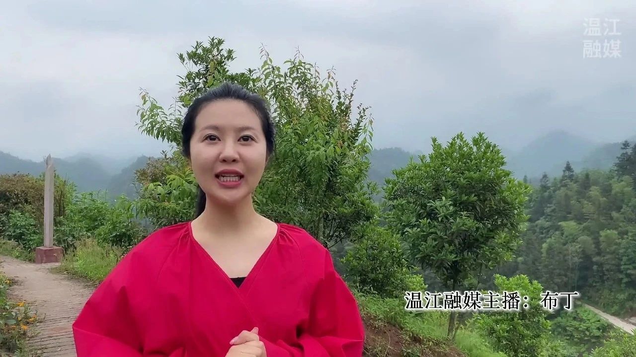 探访红色印记Vlog③| 走进古蔺，看革命老区新变化