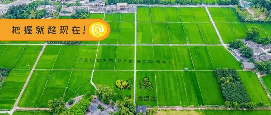 今日小暑！温江发布95项“幸福清单”