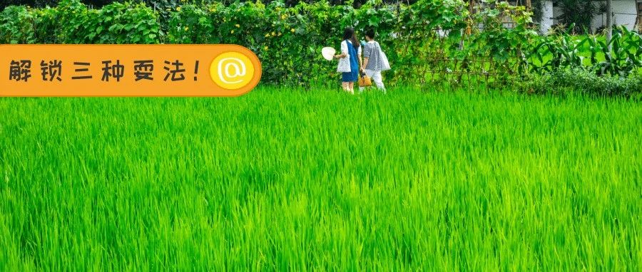 “神兽”的夏天，来温江这样过！
