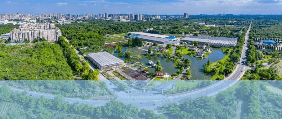 王乾调研和盛镇、涌泉街道疫情防控工作和经济社会发展情况