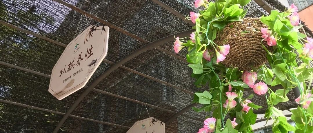 来玩！这里，卤猪蹄、卤肥肠和土鸡蛋在等你